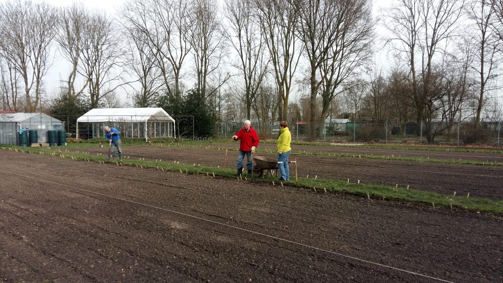 grasranden bijwerken