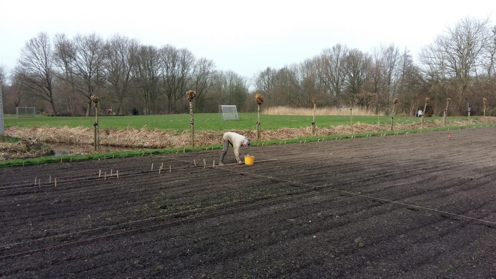 tuintjes-uitzetten-2017