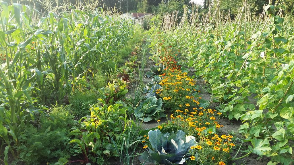 alles staat er prima bij