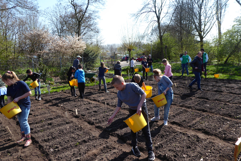 paadjestrappen2019-P1040132