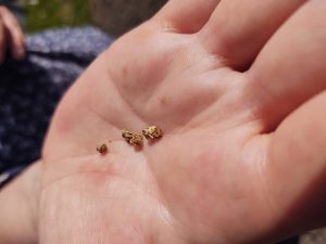 IMG_20200407_144050143