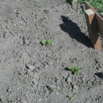 SAM_3508_1024768 SAM_3508_1024768